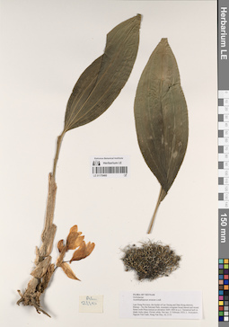 LE 01170460