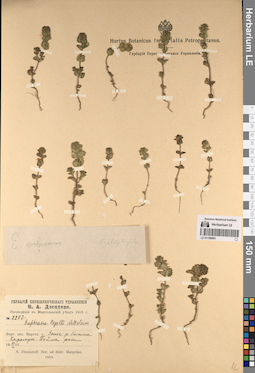 LE 01196691