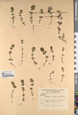 LE 01196692