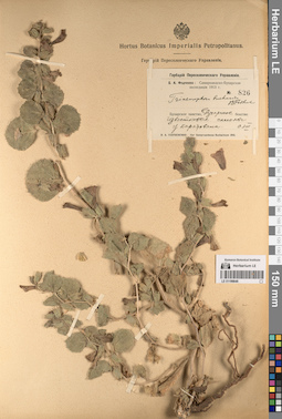 LE 01196646
