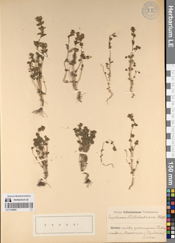 LE 01196695
