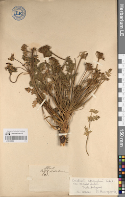 LE 01228882