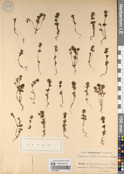 LE 01196697
