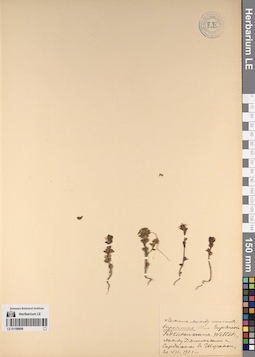 LE 01196698
