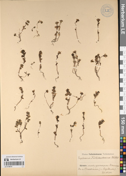 LE 01196701
