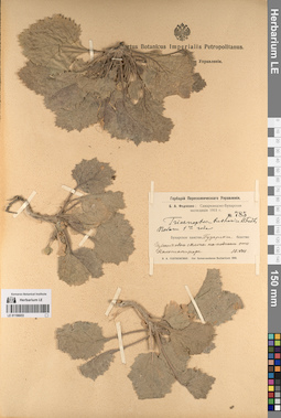 LE 01196653