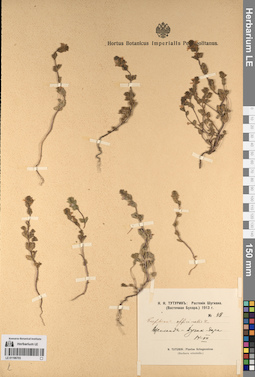 LE 01196703