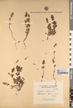 LE 01196704