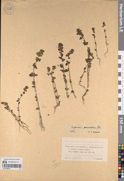 LE 01196706