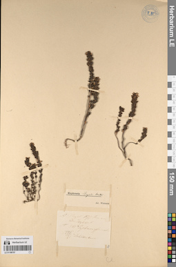 LE 01196707