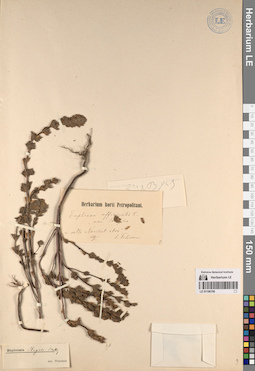 LE 01196708