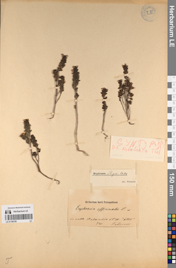 LE 01196709