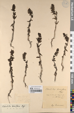 LE 01196717