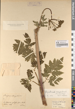 LE 01228918