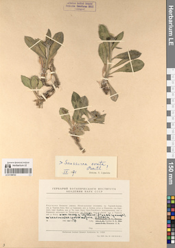 LE 01196722