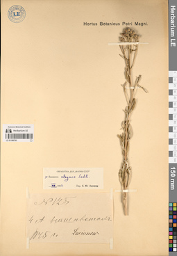 LE 01196730