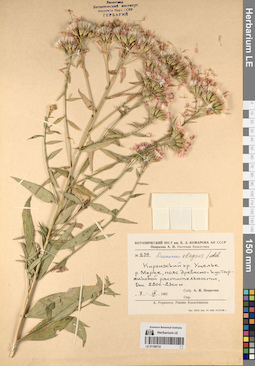 LE 01196733