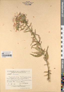LE 01196734