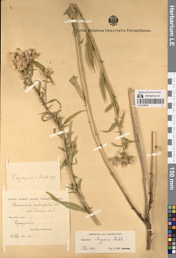LE 01196736