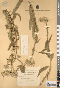 LE 01196739