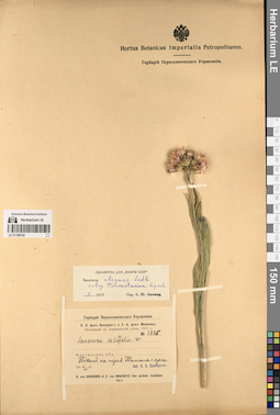 LE 01196742