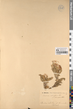 LE 01196747