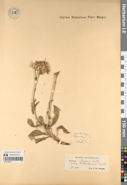 LE 01196748
