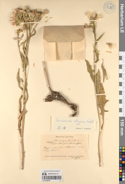 LE 01196754