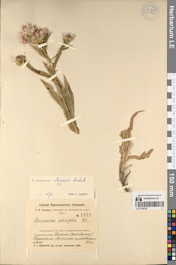 LE 01196762