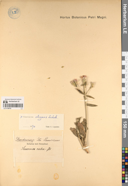 LE 01196763