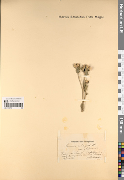LE 01196766