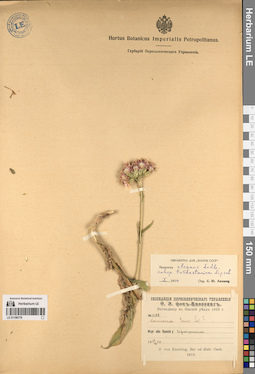 LE 01196779