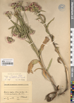 LE 01196781