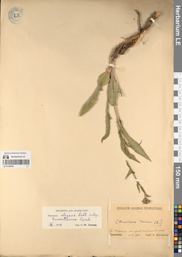 LE 01196784