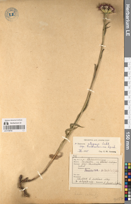 LE 01196792