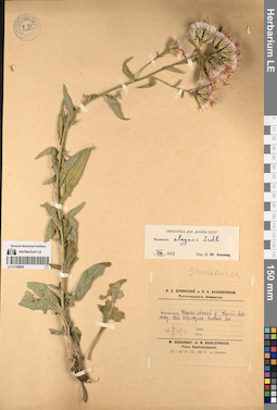 LE 01196806