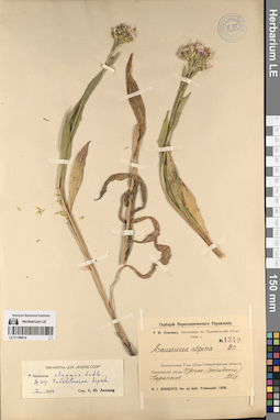 LE 01196814