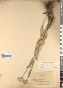LE 01196819