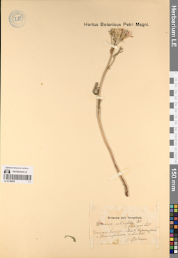 LE 01196820