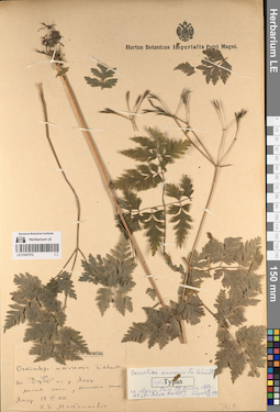 LE 01057272