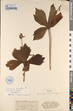 LE 01071942