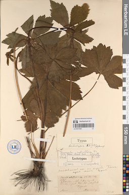 LE 01071943