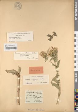 LE 01229037