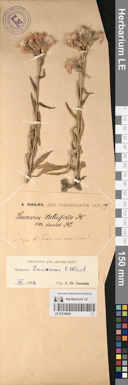LE 01230690
