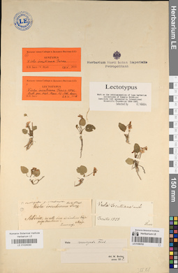 LE 01056763