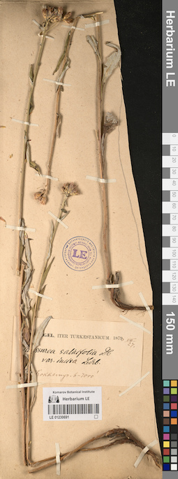 LE 01230691