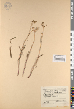LE 01228821