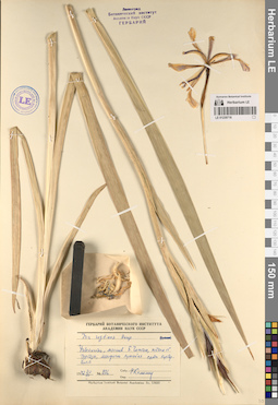 LE 01230716
