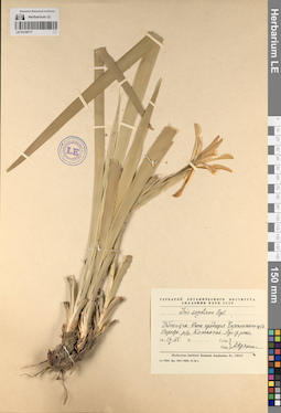 LE 01230717