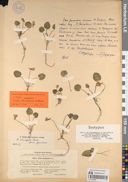 LE 01056696